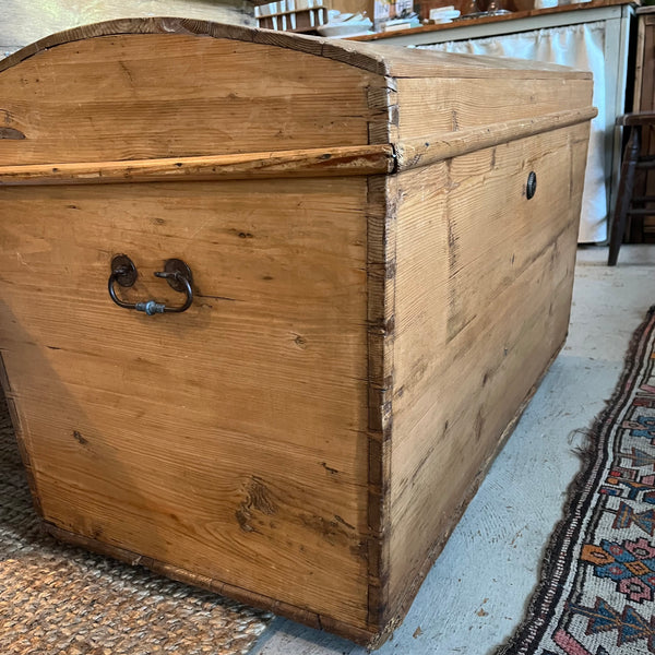 Antique Pine Trunk