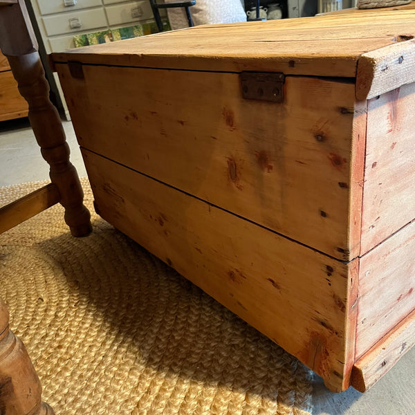 Vintage Pine Trunk