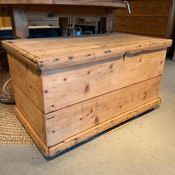 Vintage Pine Trunk