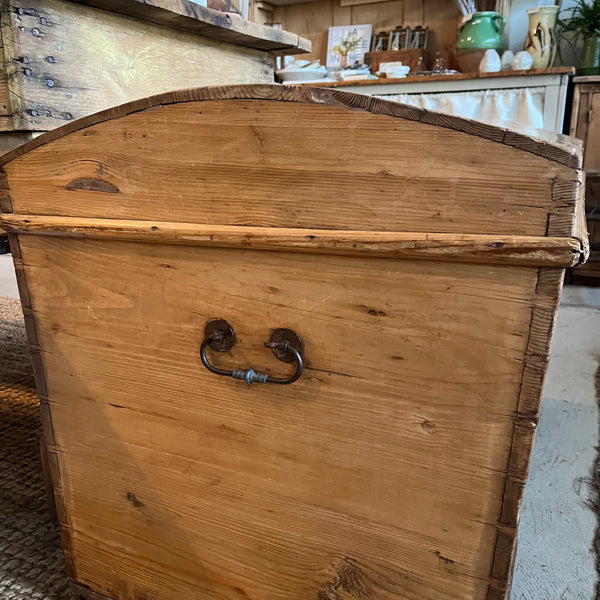 Antique Pine Trunk